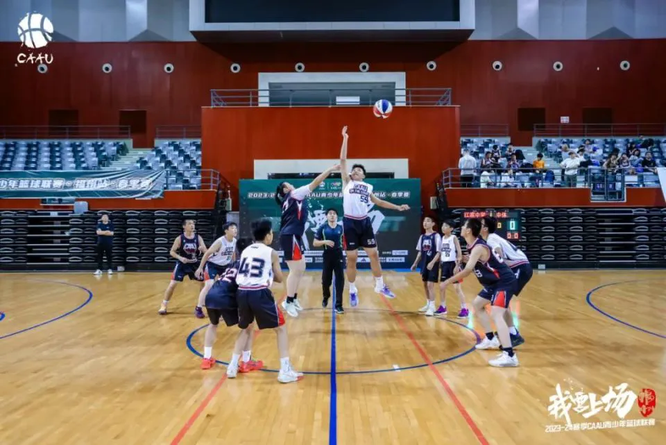青少年篮球爱好者综合训练方案_2